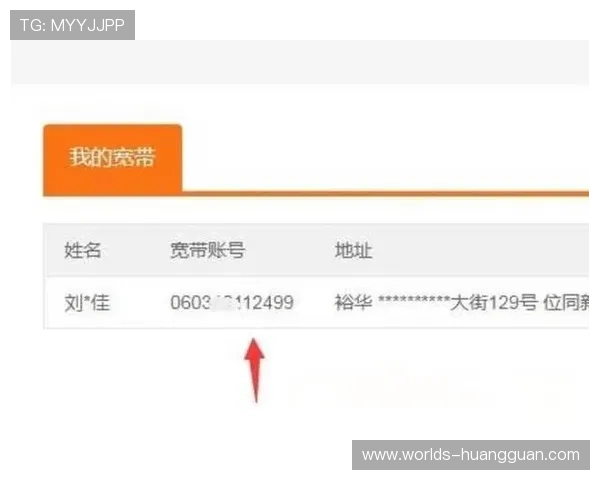 皇冠线上登录账号密码忘记怎么办，详细恢复与重置账号的实用操作指南